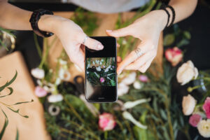 Bloovery su Mamacrowd per la sua campagna di equity crowdfunding