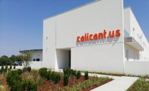 Calicantus e Magilla lanciano una formula ecommerce full service per le PMI