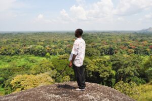 Qapla’ fa crescere la foresta dell’ecommerce insieme a Treedom